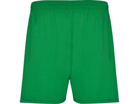 Roly Шорты Артикул 4840226L Спортивные шорты Calcio мужские, папоротниковый на складе 2 шт по цене 1&nbsp;166 ₽