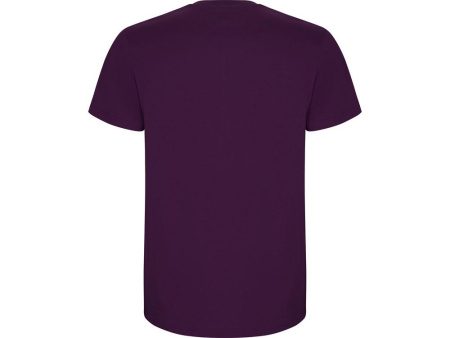 Roly Футболки Артикул 668171L Футболка Stafford мужская, фиолетовый на складе 135 шт по цене 680 ₽