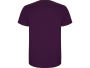 Roly Футболки Артикул 668171L Футболка Stafford мужская, фиолетовый на складе 135 шт по цене 680 ₽
