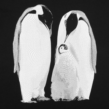 Принтэссенция Футболки Артикул 71921.30 Футболка женская Like a Penguin, черная на складе 31 шт по цене 1&nbsp;600 ₽