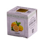 Happy gifts Аромакубики Артикул 32601 lemon Аромакубики ЛИМОН (8шт) на складе 152 шт по цене 413 ₽