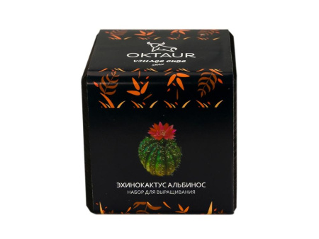 OKTAUR Наборы Артикул 4500645 Набор для выращивания Small village cube Эхинокактус Альбинос на складе 1 шт по цене 253.97 ₽