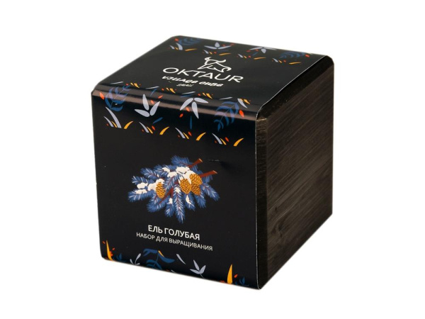 OKTAUR Наборы Артикул 4500641 Набор для выращивания Small village cube Ель Голубая на складе 1 шт по цене 253.97 ₽