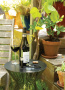 XD Collection Наборы Артикул P911.072 Винный набор сомелье Vino, 3 шт. на складе 95 шт по цене 1&nbsp;190 ₽