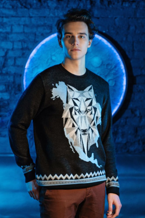 teplo Джемпера Артикул 47701.03 Джемпер Totem Wolf, черный на складе 55 шт по цене 3&nbsp;990 ₽