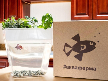Назад к истокам Наборы Артикул 607701 Набор для выращивания растений и ухода за рыбкой Акваферма на складе 0 шт по цене 6&nbsp;588.57 ₽