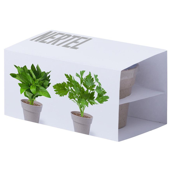 Happy Gifts Extra Наборы Артикул 345113 Набор NERTEL: два горшочка для выращивания петрушки и мяты с семенами и грунтом на складе 1 шт по цене 337 ₽
