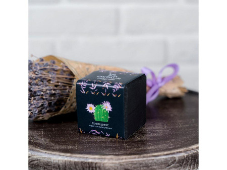 OKTAUR Наборы Артикул 4500629 Набор для выращивания Small village cube Эхиноцереус на складе 1 шт по цене 253.97 ₽